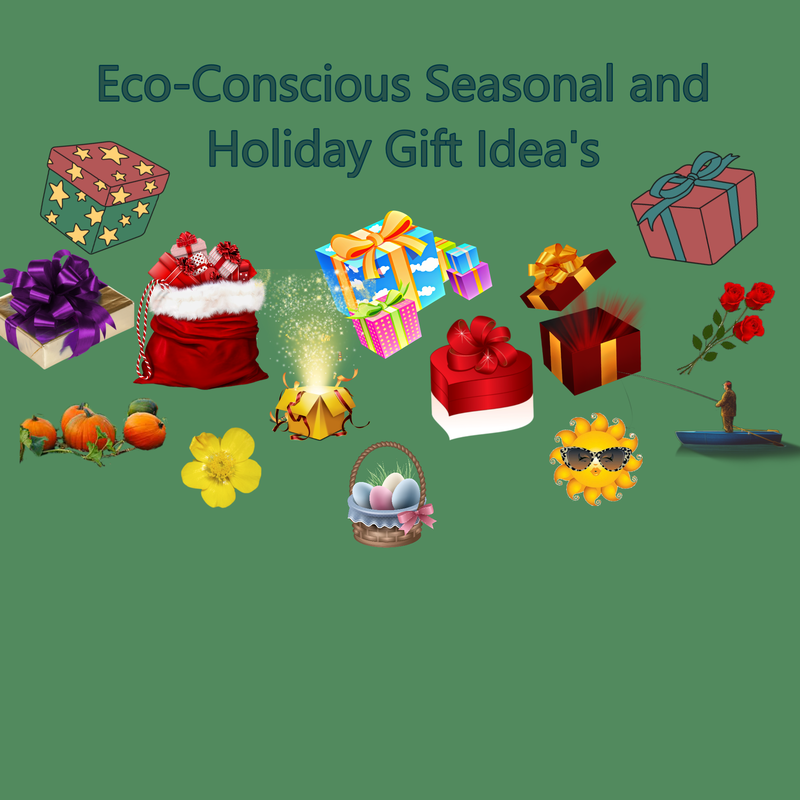Eco Friendly Holiday Gift Ideas