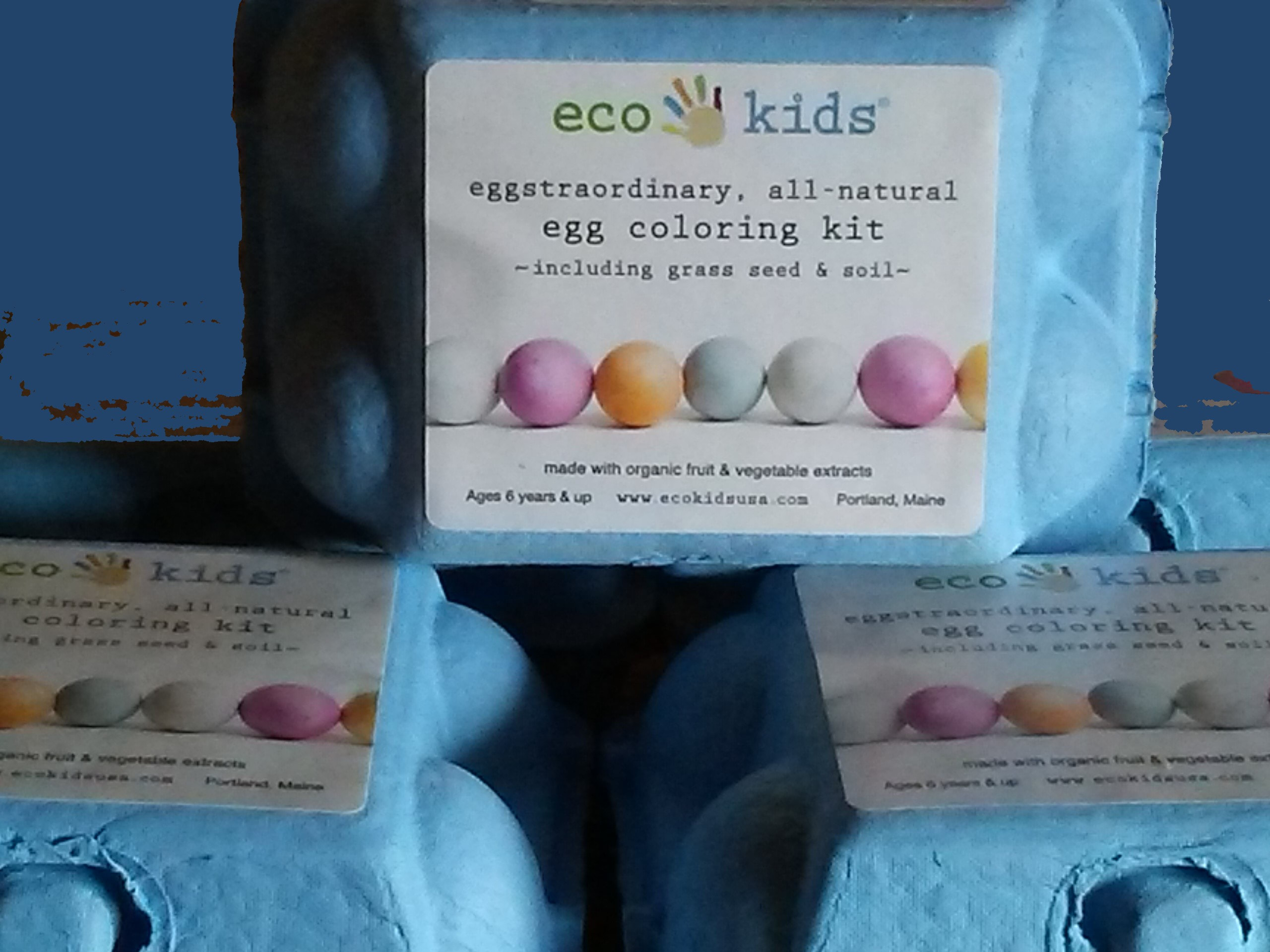 Eco-Eggs Coloring & Grass Growing Kit - blue Eco Kids